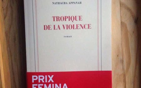 Tropique de la violence, un roman qui ne laisse pas indifférent !